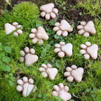 Woodland Paw Resin Stones