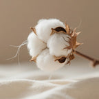 Earthy Cotton Pillowcase Set