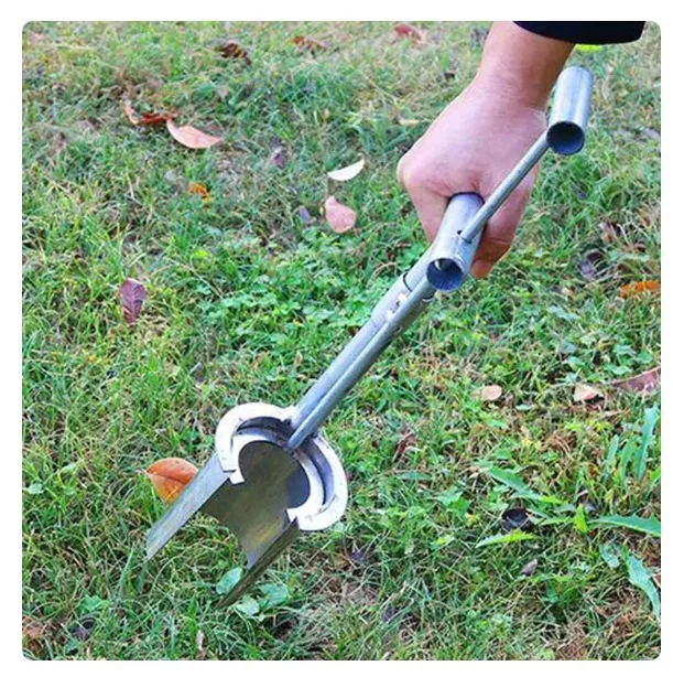 Plant and fruit tree seedling transplanter