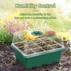 🌱 Adjustable Humidity Seed Starter Trays with Grow Light