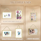 🔥🔥2025 Ornament Picture Frame 8 Reviews