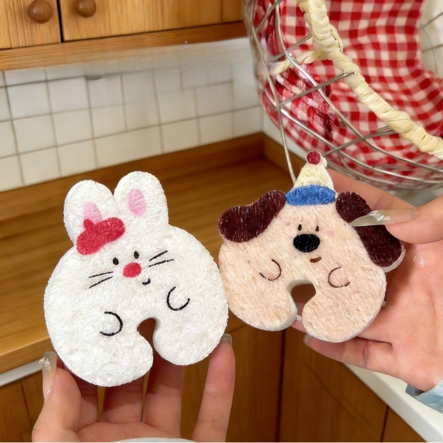 Hug Buddy Dish Sponge Set