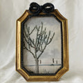 Vintage Rope-Trim Bow Frame