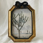 Vintage Rope-Trim Bow Frame