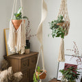 Macrame Crochet Plant Holder