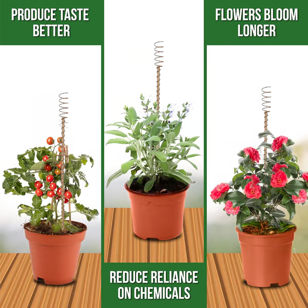 Electroculture Plant Stakes 8 Pack | Enhance Plant Growth with Natural Energy | Eco-Friendly, Copper Garden Stakes for Vibrant, Healthy Plants