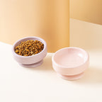 Wide Slant Pet Bowl