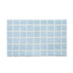 Swimming Pool Checked Rug