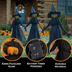 🎃2025 Halloween Sale 🧙‍♀️Lighted Halloween Witch Stakes