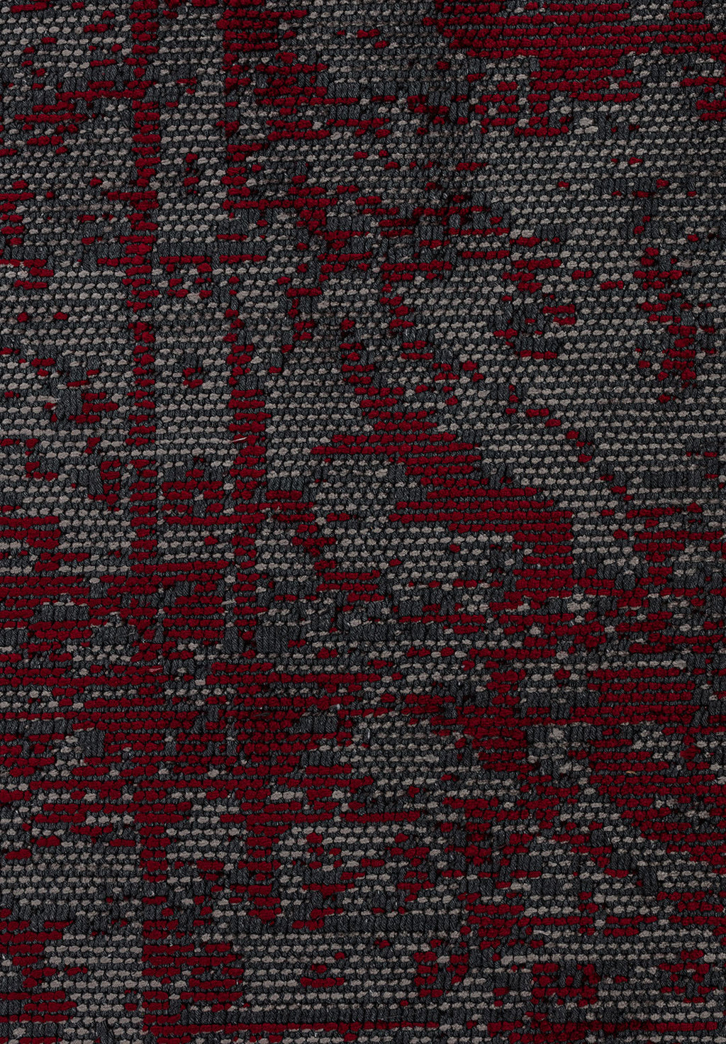Ivy Grey - Red Rug