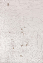 Dry Light Grey - Ecru Rug