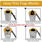 (🔥Spring Hot Sale- 30% OFF) New Bucket Lid Mouse Trap