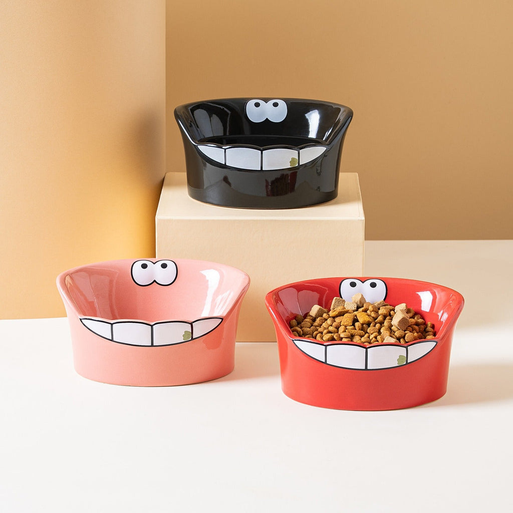 Big Mouth Pet Bowl