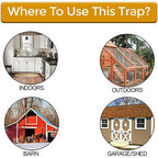 (🔥Spring Hot Sale- 30% OFF) New Bucket Lid Mouse Trap