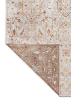Fleur Dark Beige - Light Grey Rug