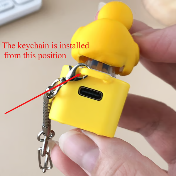 Frog Croaking Fidget Toy - Rechargeable Frog Croaking Keychain