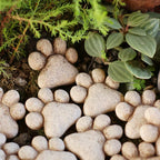 Woodland Paw Resin Stones