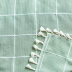 Sunlit Check Fringe Curtain