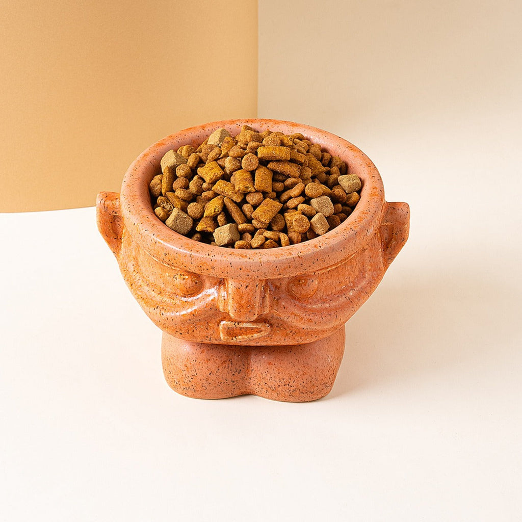 Bronze Age Pet Bowl