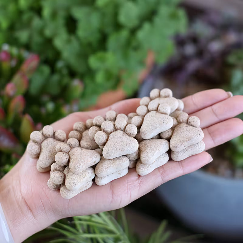 Woodland Paw Resin Stones