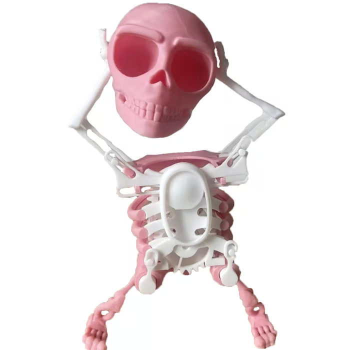 Dancing and Swinging 3D Skull Toy 🎉