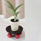 Retro Skate Tray