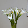 Colourful Calla Lily Bouquet