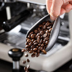 The Daily Grind Coffee Bean Saucer