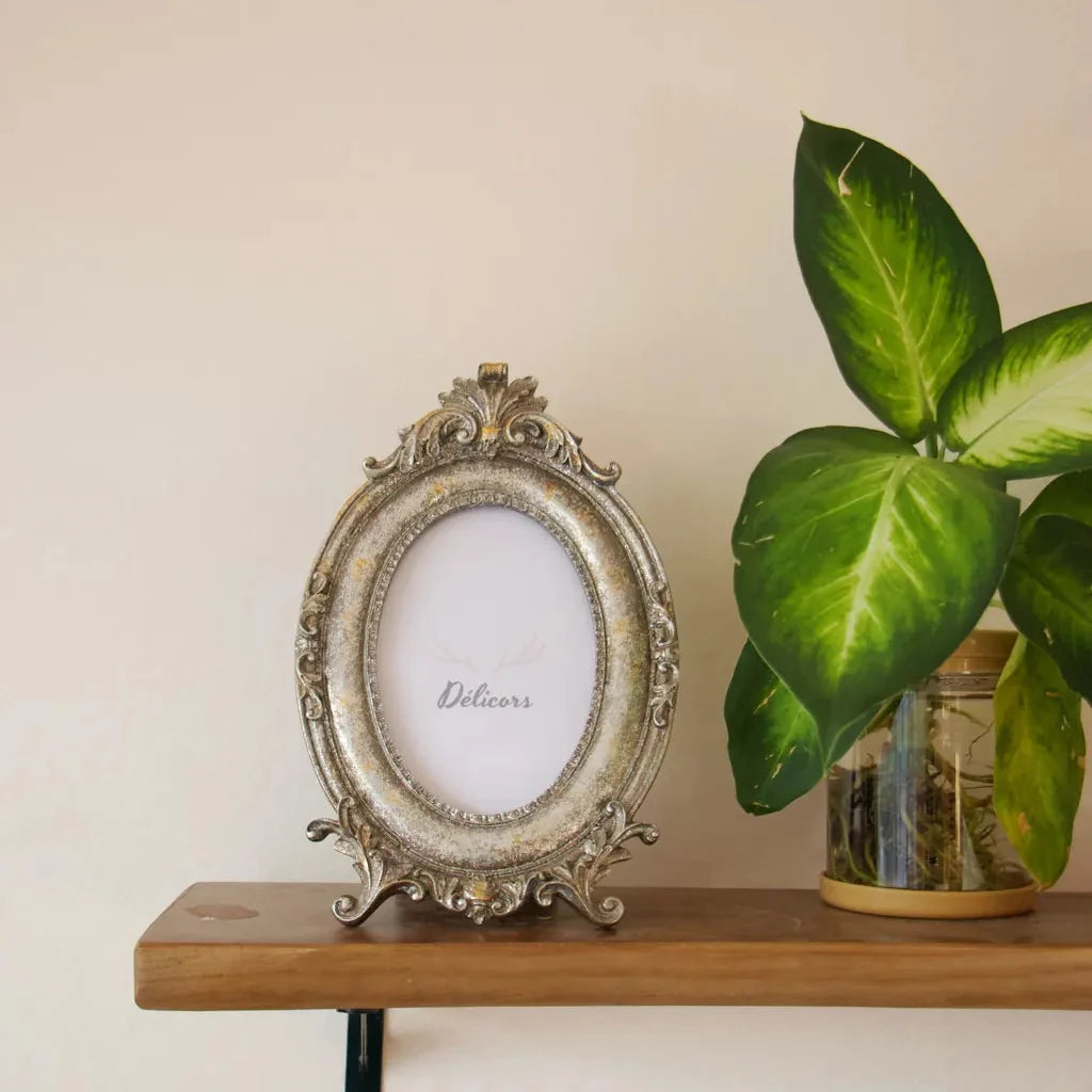 French Vintage Oval Frame