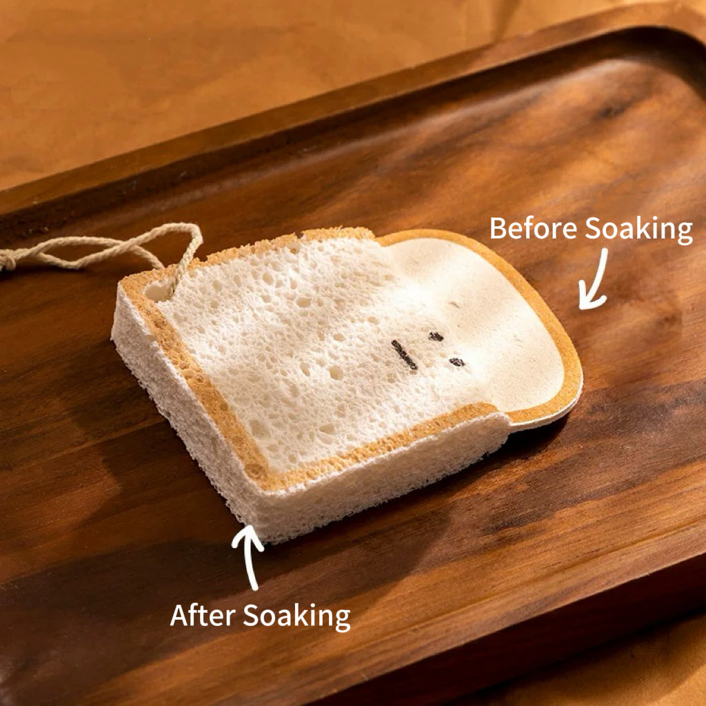 Moody Toast Dish Sponge Set