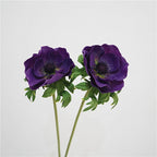 Genuine Touch Anemone