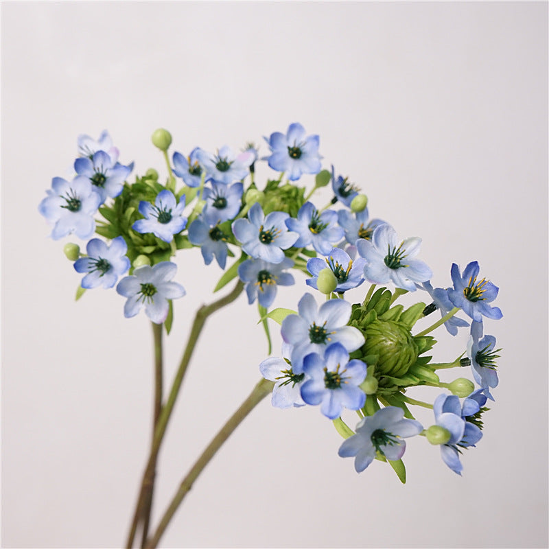 Star of Bethlehem Flower Decor