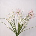 Spider Lily Bloom