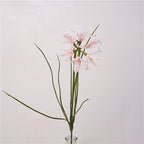 Spider Lily Bloom
