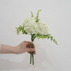 Snowball Bush Flower Decor