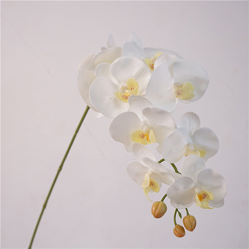 Orchid Bloom Flower Decor