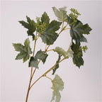 Grape Vine Leaves