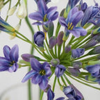Lily Agapanthus Flower Decor