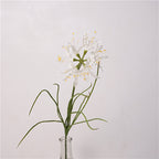 Spider Lily Bloom