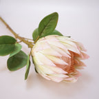King Protea Flower Decor
