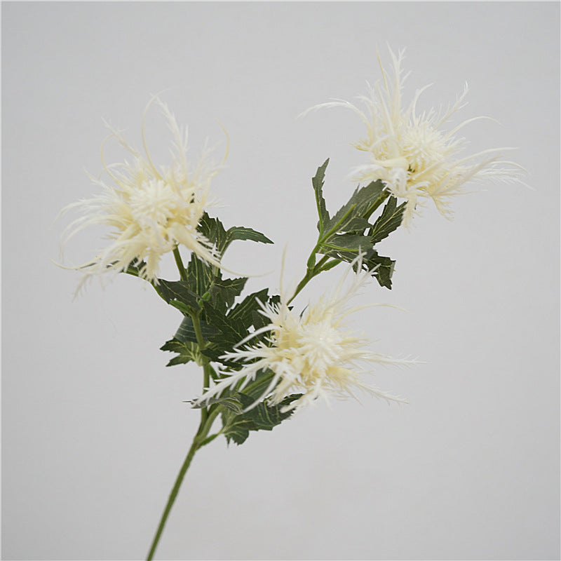 Sea Holly Bouquet