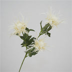 Sea Holly Bouquet