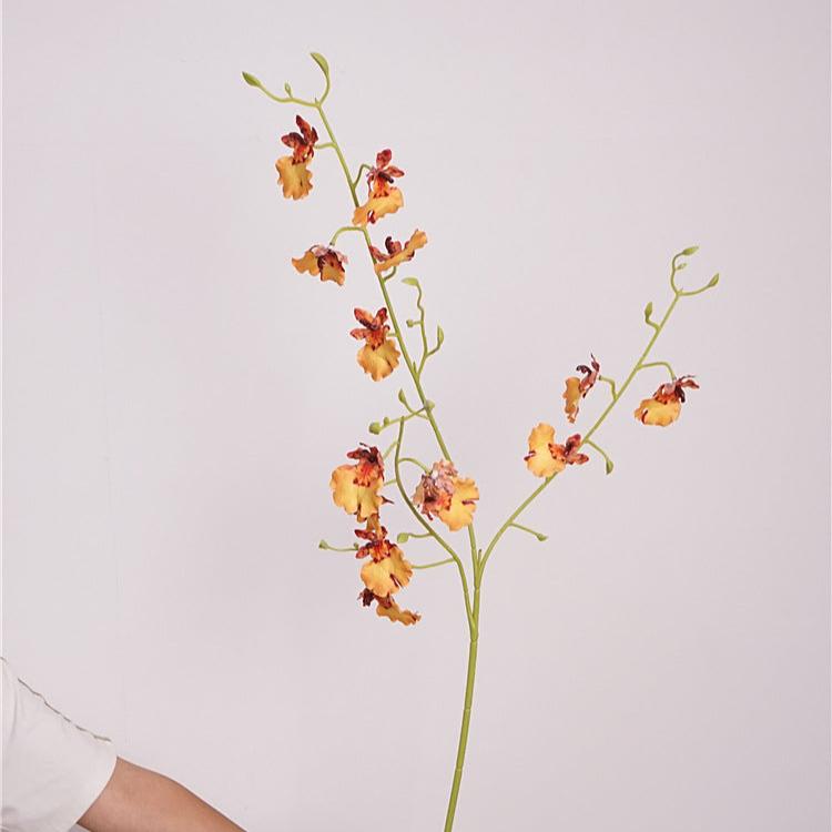 Orchid Oncidium Flower Decor