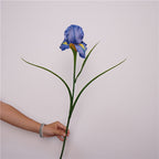Faux Iris Stem