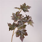 Grape Vine Leaves