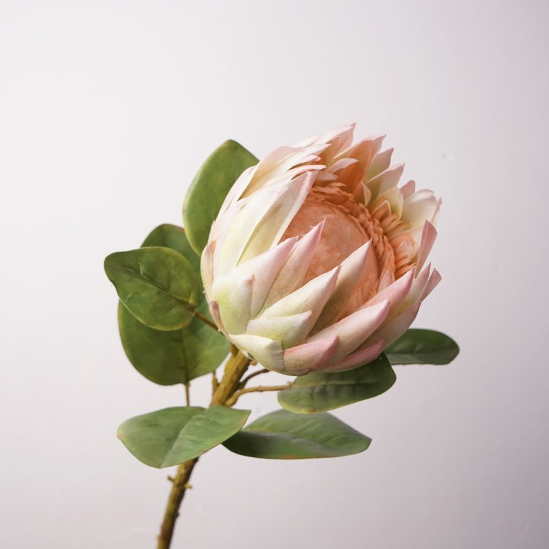 King Protea Flower Decor