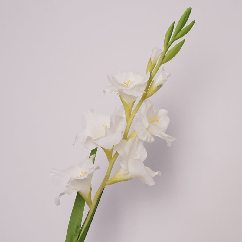 Pure Gladiolus Flower Decor