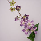 Merr’s Clerodendrum Flower Decor