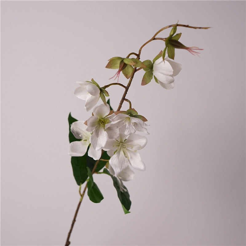 Merr’s Clerodendrum Flower Decor