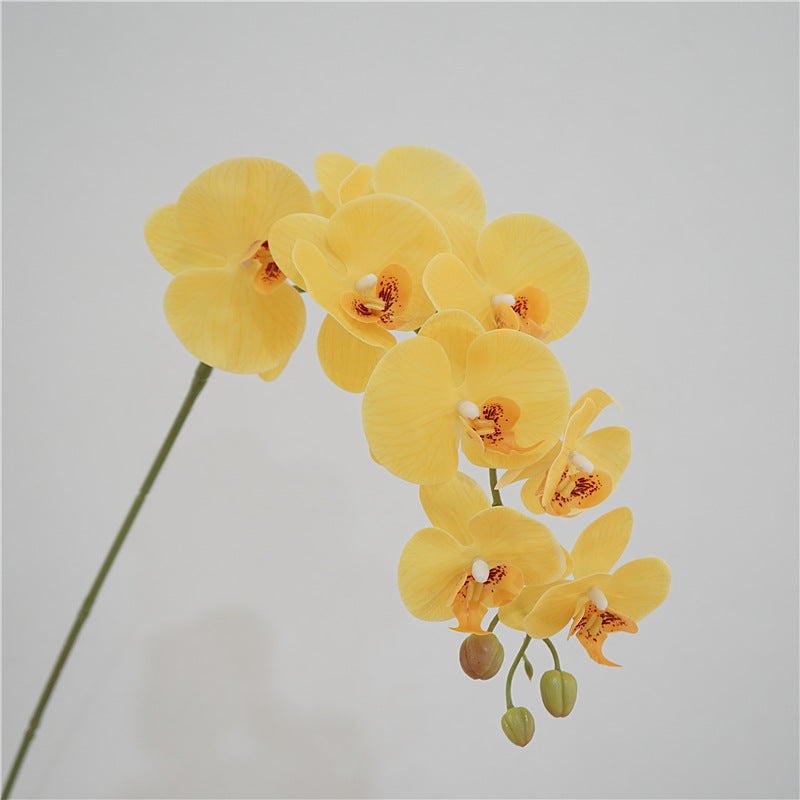 Orchid Bloom Flower Decor